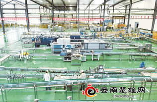 摩爾農(nóng)莊 以技術(shù)服務(wù)為引擎推動(dòng)三產(chǎn)融合發(fā)展